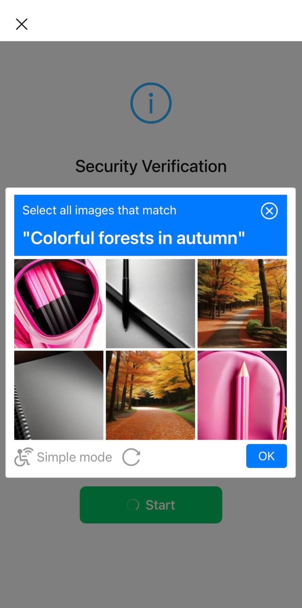 Picture security verification