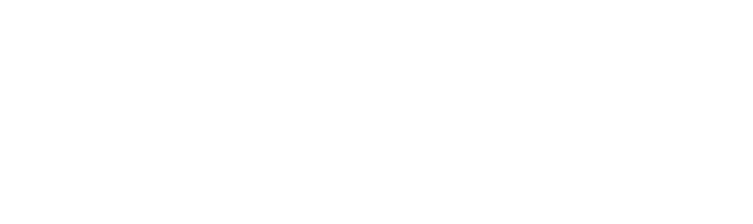 University of South Australia