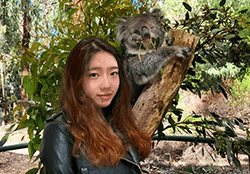 Picture