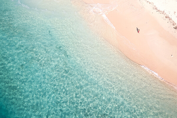 阿德莱德的生活