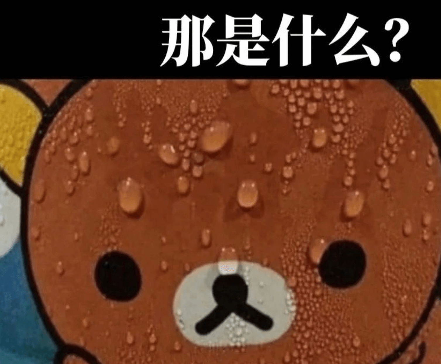 留学贷款