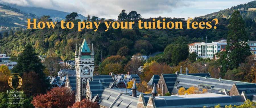 如何查找和支付您的学费？