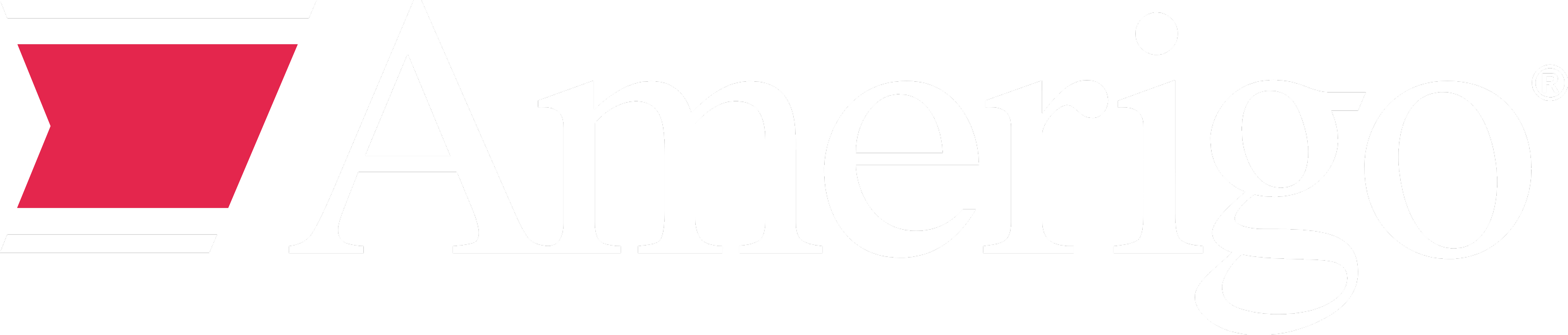 Amerigo 教育集团