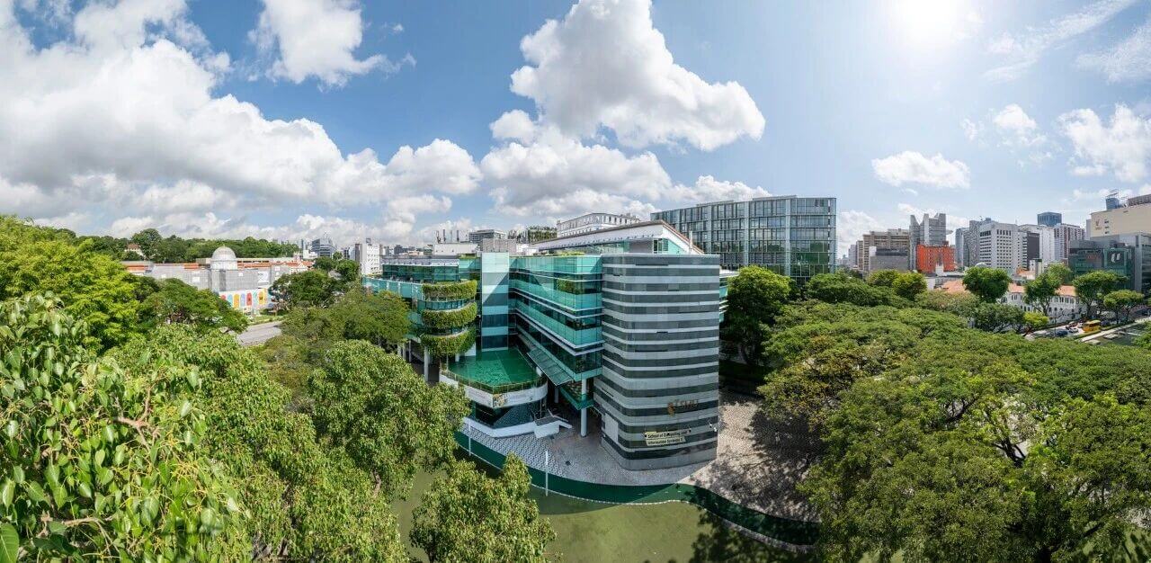 新加坡管理大学 (SMU) MSE 项目