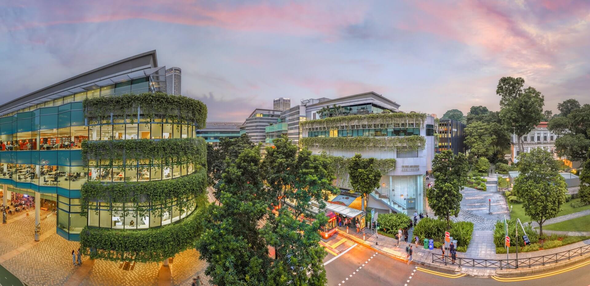 新加坡管理大学 (SMU) MSE 项目