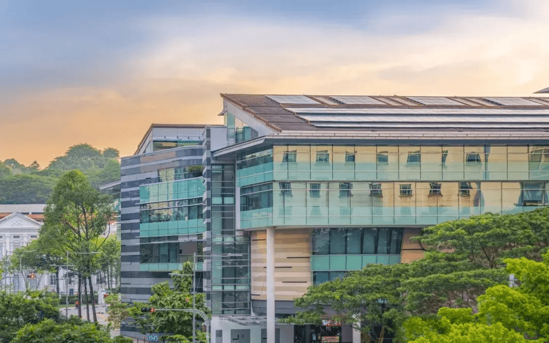 新加坡管理大学商业信息技术硕士 (MITB) 项目