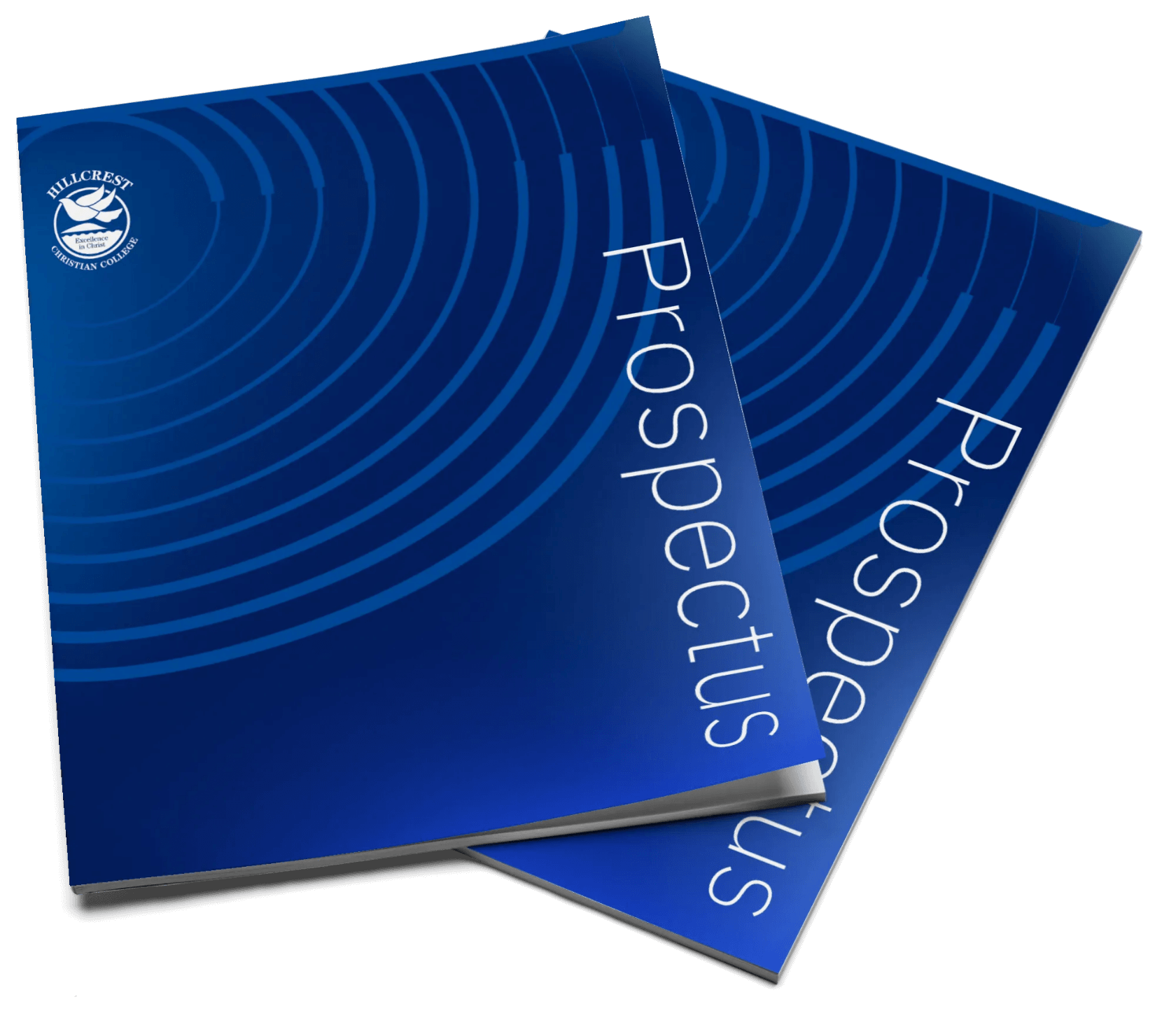 希尔克雷斯特国际学院招生简章