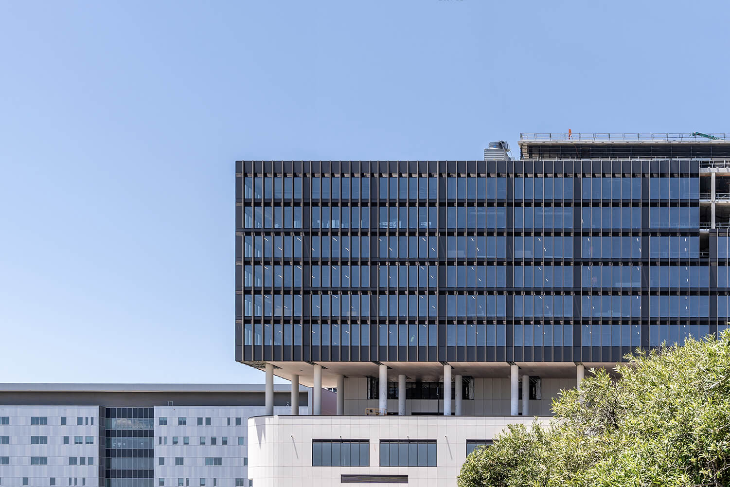 North Shore Health Hub